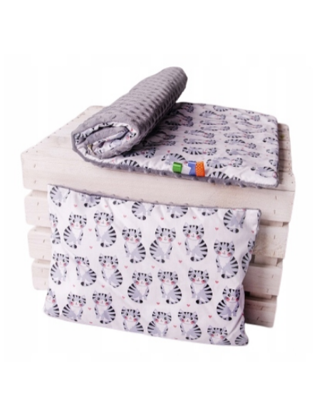 copy of Komplet pościeli minky (Kocyk 100x75 + Poduszka 40x30)