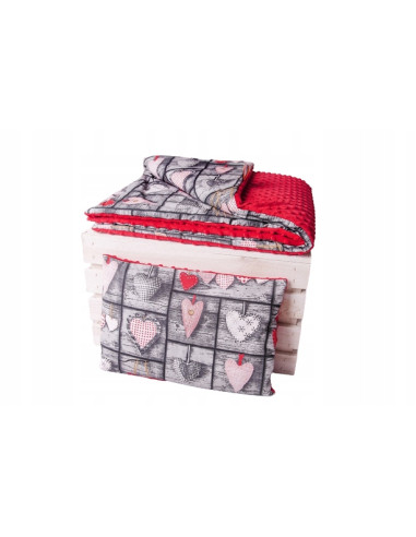 Kocyk i Poduszka Pościel Minky kocyk 100x75...